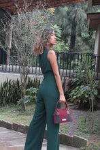 Load image into Gallery viewer, Monte Albán cactus
